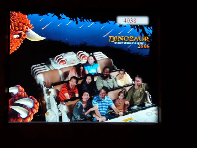 Adventure with Hollywoodbets: A Journey of Sweets