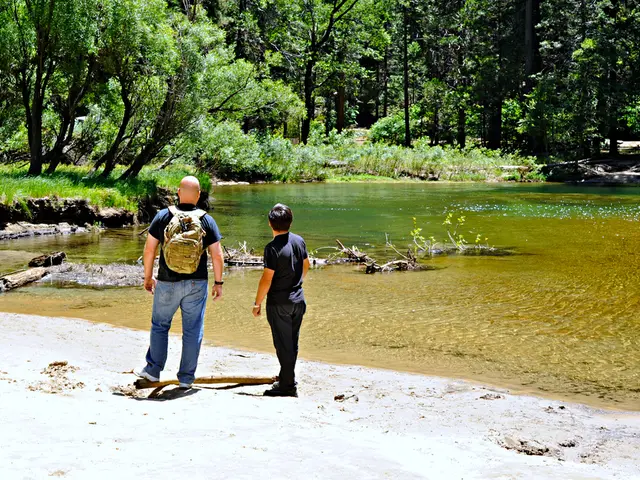 Interest Earnings Comparison: High-Yield Savings Account vs Money Market Account - Learn Which...